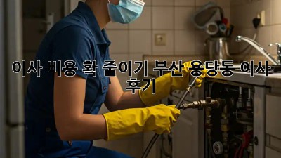 이사 비용 확 줄이기! 부산 용당동 이사 후기