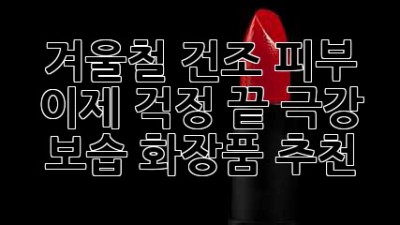 겨울철 건조 피부, 이제 걱정 끝! 극강 보습 화장품 추천