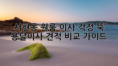 서현동 원룸 이사? 걱정 뚝! 용달이사 견적 비교 가이드